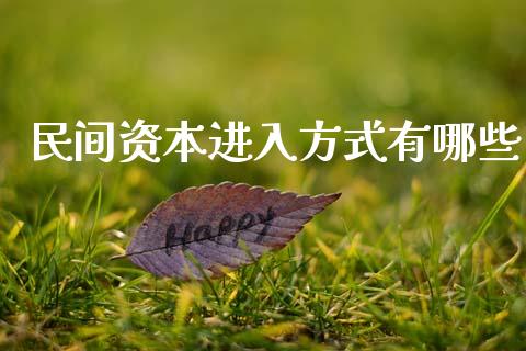 民间资本进入方式有哪些_https://m.letulww.com_期货交易软件_第1张