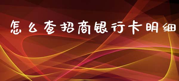 怎么查招商银行卡明细_https://m.letulww.com_期货开户保证金_第1张