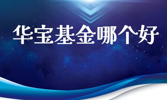 华宝基金哪个好_https://m.letulww.com_期货交易软件_第1张