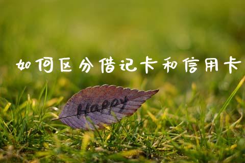 如何区分借记卡和信用卡_https://m.letulww.com_期货交易软件_第1张