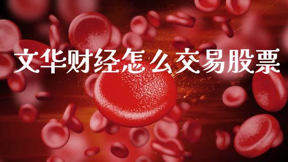 文华财经怎么交易股票_https://m.letulww.com_期货交易软件_第1张