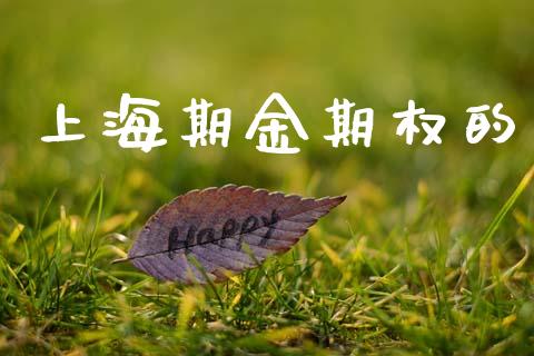 上海期金期权的_https://m.letulww.com_期货交易策略_第1张