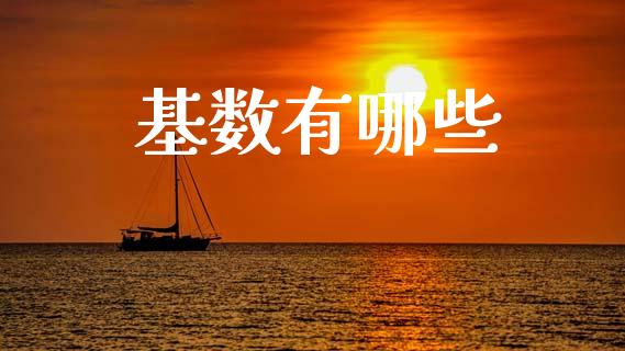基数有哪些_https://m.letulww.com_期货开户保证金_第1张