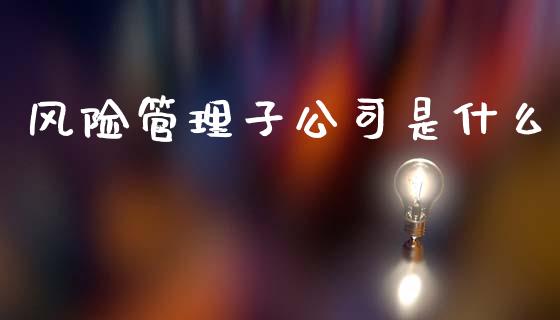 风险管理子公司是什么_https://m.letulww.com_期货交易软件_第1张