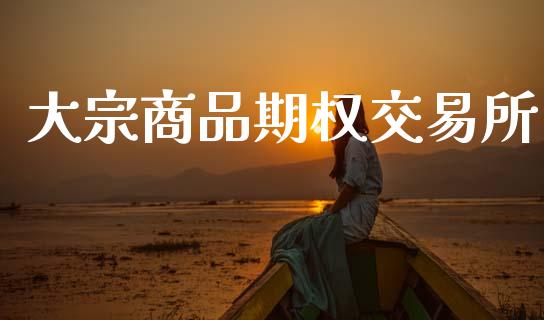大宗商品期权交易所_https://m.letulww.com_期货交易软件_第1张