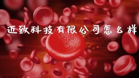 迈致科技有限公司怎么样_https://m.letulww.com_期货交易策略_第1张