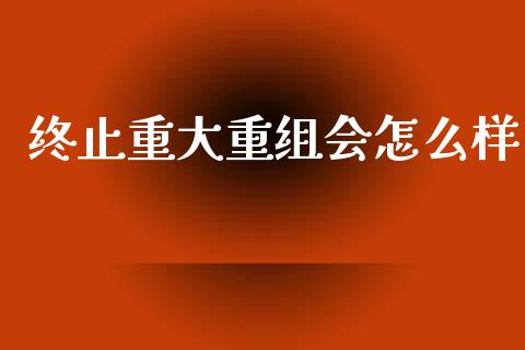 终止重大重组会怎么样_https://m.letulww.com_股指期货交易时间_第1张