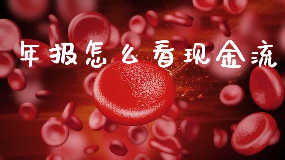 年报怎么看现金流_https://m.letulww.com_期货交易策略_第1张