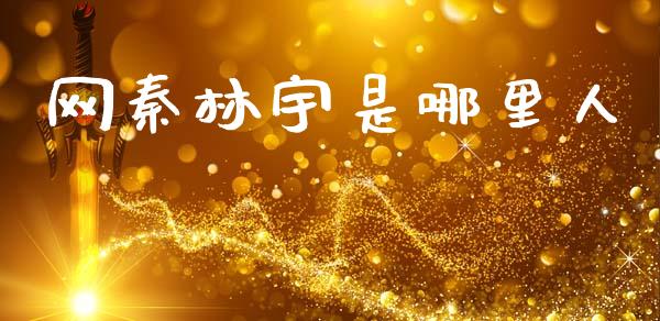 网秦林宇是哪里人_https://m.letulww.com_期货交易软件_第1张