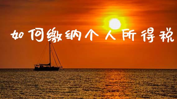 如何缴纳个人所得税_https://m.letulww.com_期货开户保证金_第1张