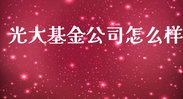 光大基金公司怎么样_https://m.letulww.com_期货交易软件_第1张