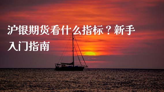 沪银期货看什么指标？新手入门指南_https://m.letulww.com_期货交易策略_第1张