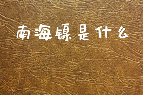 南海镍是什么_https://m.letulww.com_股指期货交易时间_第1张