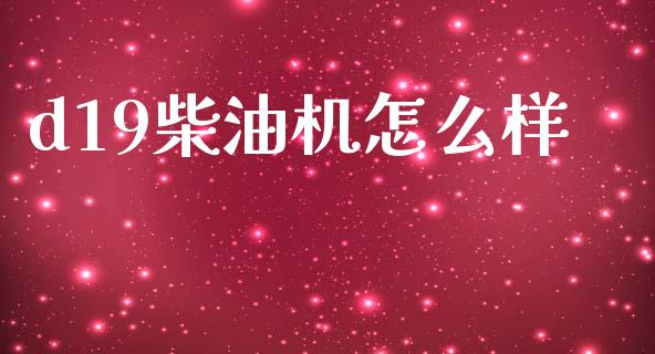 d19柴油机怎么样_https://m.letulww.com_期货交易策略_第1张