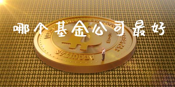 哪个基金公司最好_https://m.letulww.com_期货交易策略_第1张