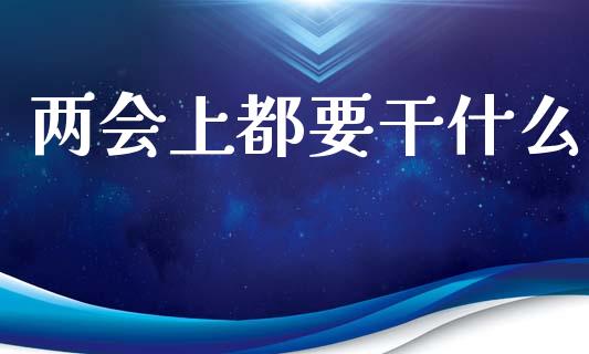 两会上都要干什么_https://m.letulww.com_期货交易软件_第1张