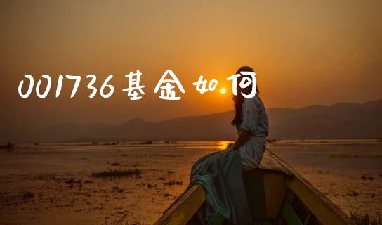 001736基金如何_https://m.letulww.com_期货开户保证金_第1张