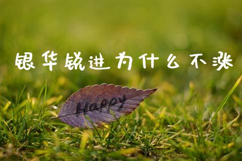 银华锐进为什么不涨_https://m.letulww.com_期货开户保证金_第1张