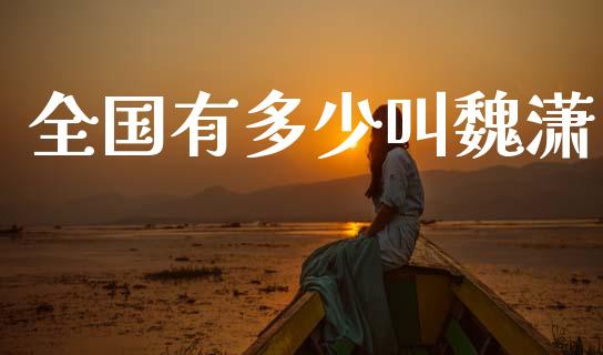 全国有多少叫魏潇_https://m.letulww.com_期货开户保证金_第1张