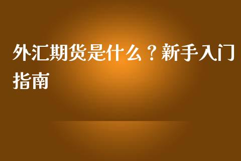 外汇期货是什么？新手入门指南_https://m.letulww.com_股指期货交易时间_第1张