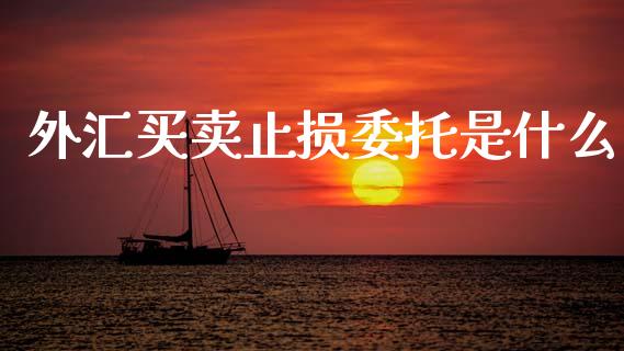 外汇买卖止损委托是什么_https://m.letulww.com_期货开户保证金_第1张