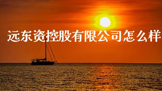 远东资控股有限公司怎么样_https://m.letulww.com_期货交易软件_第1张