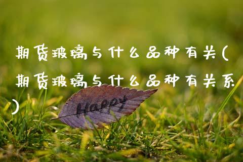 期货玻璃与什么品种有关(期货玻璃与什么品种有关系)_https://m.letulww.com_期货交易软件_第1张