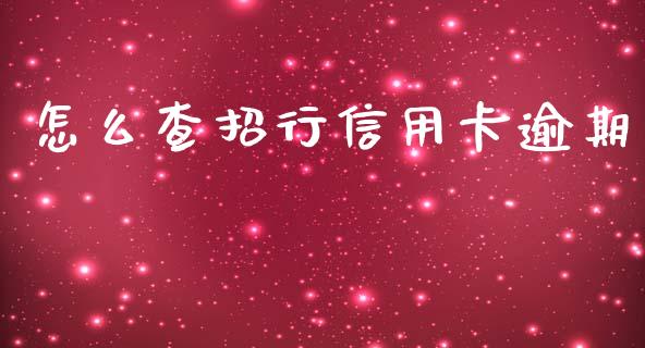 怎么查招行信用卡逾期_https://m.letulww.com_期货交易软件_第1张