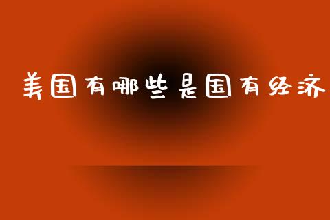 美国有哪些是国有经济_https://m.letulww.com_股指期货交易时间_第1张