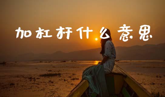 加杠杆什么意思_https://m.letulww.com_期货开户保证金_第1张