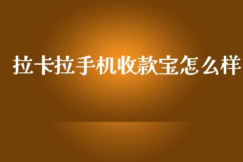拉卡拉手机收款宝怎么样_https://m.letulww.com_期货交易软件_第1张