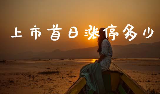 上市首日涨停多少_https://m.letulww.com_期货开户保证金_第1张