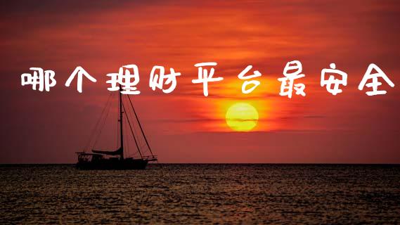 哪个理财平台最安全_https://m.letulww.com_期货交易软件_第1张