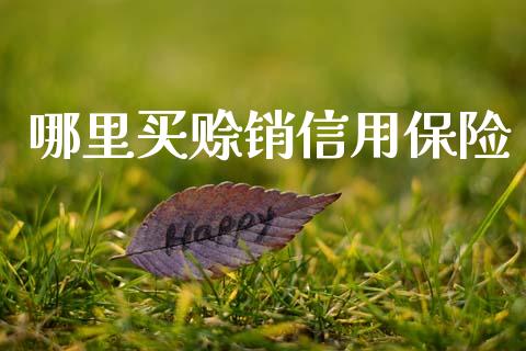 哪里买赊销信用保险_https://m.letulww.com_期货开户保证金_第1张