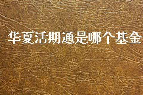 华夏活期通是哪个基金_https://m.letulww.com_期货开户保证金_第1张