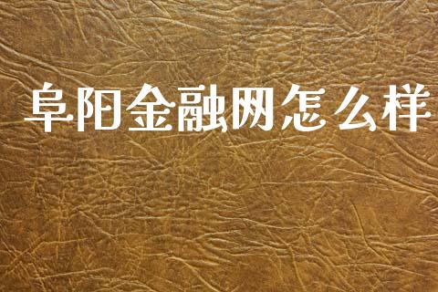 阜阳金融网怎么样_https://m.letulww.com_股指期货交易时间_第1张