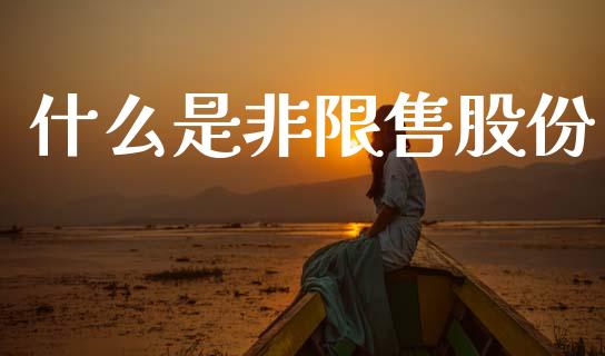 什么是非限售股份_https://m.letulww.com_股指期货交易时间_第1张