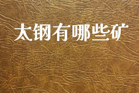 太钢有哪些矿_https://m.letulww.com_期货交易策略_第1张