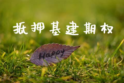抵押基建期权_https://m.letulww.com_期货交易策略_第1张