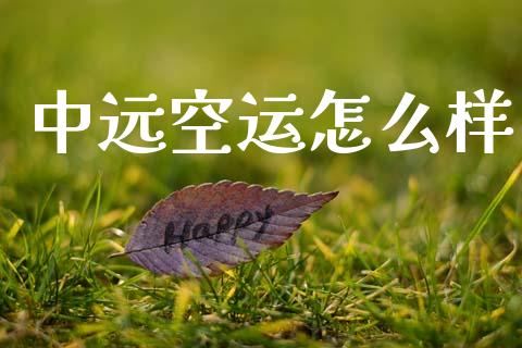 中远空运怎么样_https://m.letulww.com_股指期货交易时间_第1张