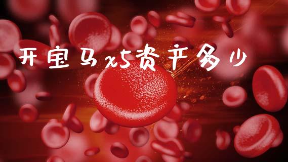 开宝马x5资产多少_https://m.letulww.com_股指期货交易时间_第1张