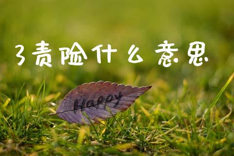 3责险什么意思_https://m.letulww.com_股指期货交易时间_第1张