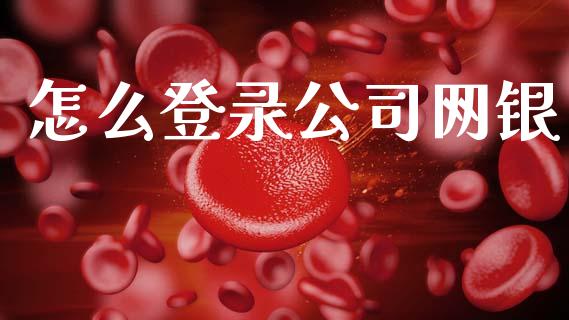 怎么登录公司网银_https://m.letulww.com_期货开户保证金_第1张