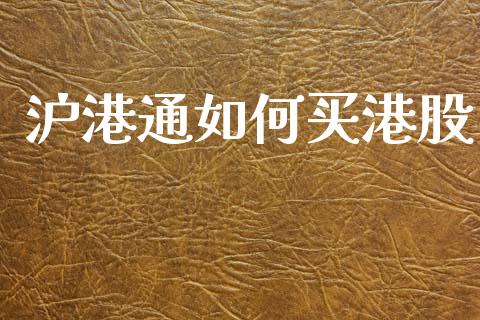 沪港通如何买港股_https://m.letulww.com_期货开户保证金_第1张