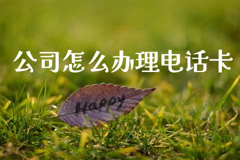 公司怎么办理电话卡_https://m.letulww.com_股指期货交易时间_第1张