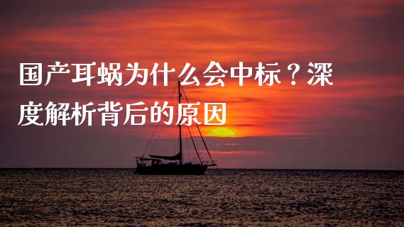 国产耳蜗为什么会中标？深度解析背后的原因_https://m.letulww.com_期货交易策略_第1张
