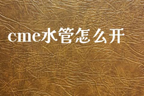 cme水管怎么开_https://m.letulww.com_期货交易策略_第1张