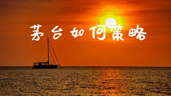 茅台如何策略_https://m.letulww.com_股指期货交易时间_第1张