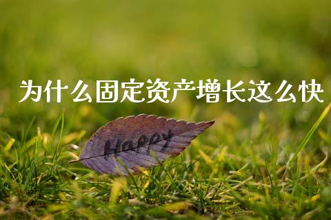 为什么固定资产增长这么快_https://m.letulww.com_股指期货交易时间_第1张