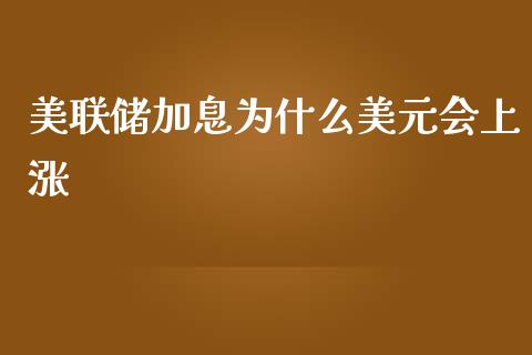 美联储加息为什么美元会上涨_https://m.letulww.com_期货交易软件_第1张